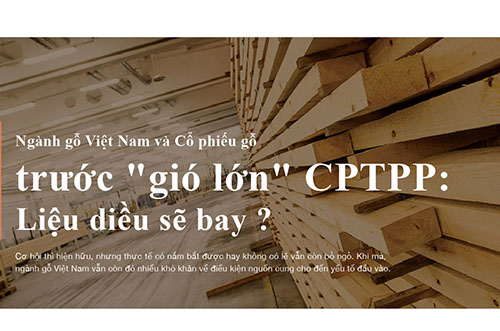 NGÀNH GỖ VIỆT NAM VÀ CỔ PHIẾU GỖ TRƯỚC “GIÓ LỚN” CPTPP: LIỆU DIỀU SẼ BAY ?