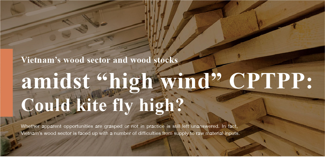 VIETNAM’S WOOD SECTOR AND WOOD STOCKS AMIDST “HIGH WIND” CPTPP: COULD KITE FLY HIGH ?