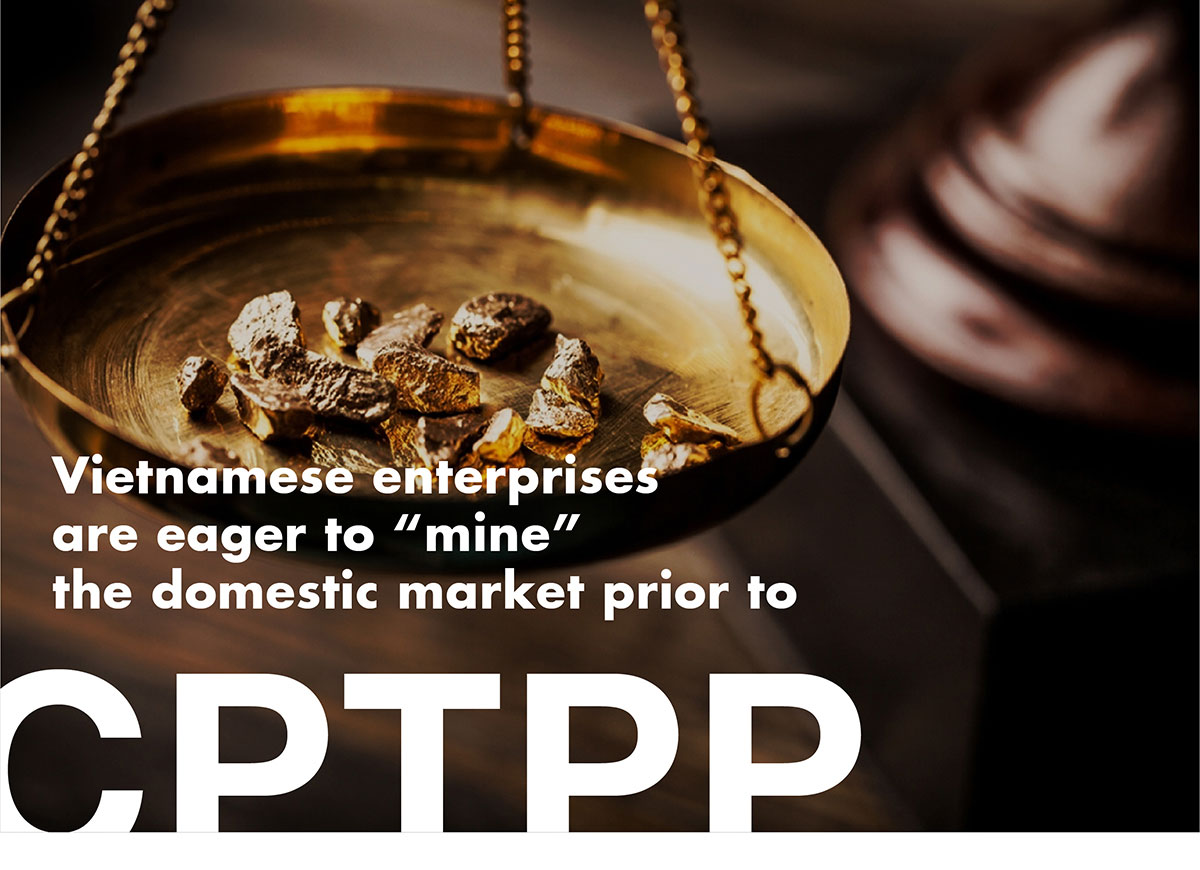 VIETNAMESE ENTERPRISE ARE EAGER TO “MINE” THE DOMESTIC MARKET PRIOR TO CPTPP