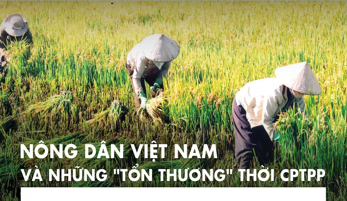 NÔNG DÂN VIỆT NAM VÀ NHỮNG “TỔN THƯƠNG” THỜI CPTPP