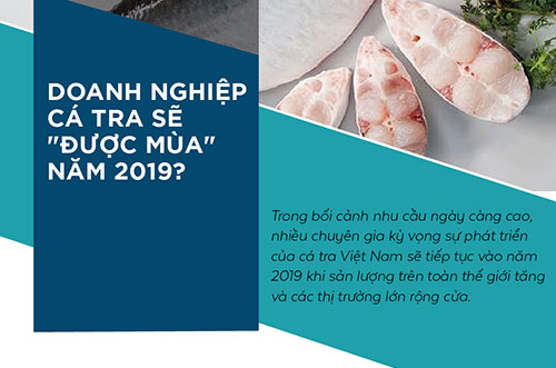CÁC “ÔNG LỚN” ĐÃ KHỞI ĐỘNG DOANH NGHIỆP CÁ TRA SẼ “ĐƯỢC MÙA” NĂM 2019?