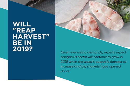 CÁC “ÔNG LỚN” ĐÃ KHỞI ĐỘNG DOANH NGHIỆP CÁ TRA SẼ “ĐƯỢC MÙA” NĂM 2019?