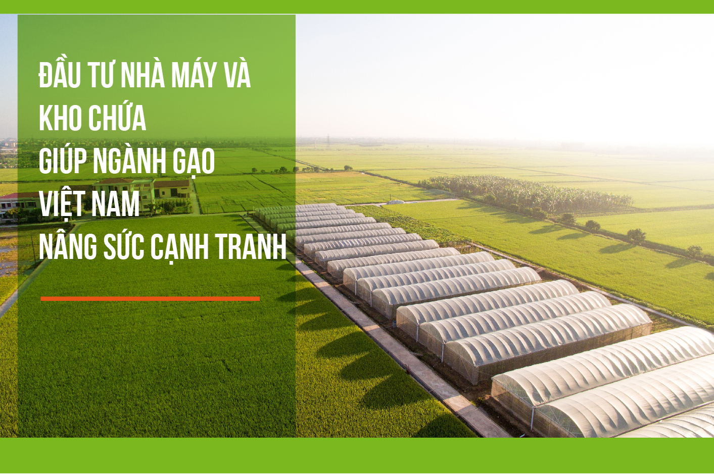 ĐẦU TƯ NHÀ MÁY VÀ KHO CHỨA GIÚP NGÀNH GẠO VIỆT NAM NÂNG SỨC CẠNH TRANH