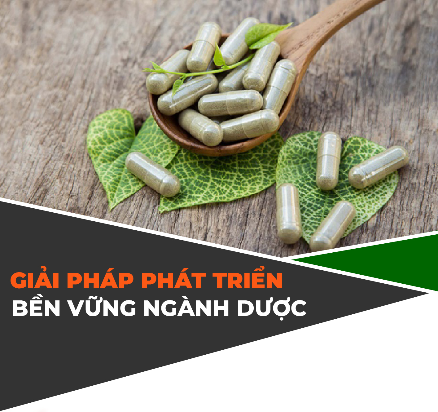 GIẢI PHÁP PHÁT TRIỂN BỀN VỮNG NGÀNH DƯỢC