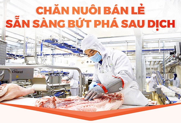 CHĂN NUÔI BÁN LẺ SẴN SÀNG BỨT PHÁ SAU DỊCH