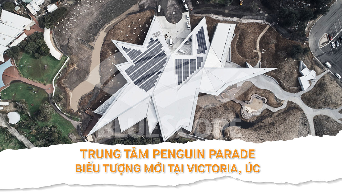 Trung Tâm Penguin Parade – Biểu Tượng Mới Tại Victoria, Úc