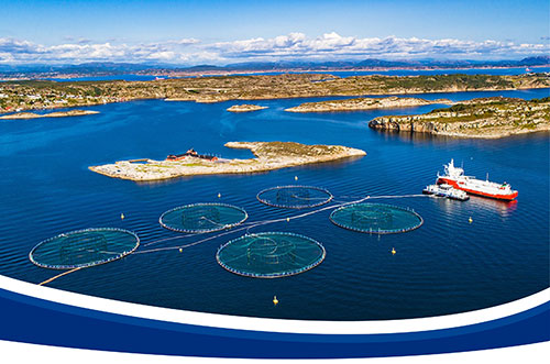 CHĂN NUÔI, THỦY SẢN “TĂNG TỐC” ĐẦU TƯ TRONG ĐẠI DỊCH