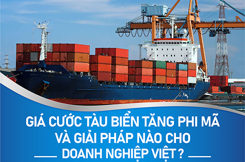 GIÁ CƯỚC TÀU BIỂN TĂNG PHI MÃ VÀ GIẢI PHÁP NÀO CHO DOANH NGHIỆP VIỆT?