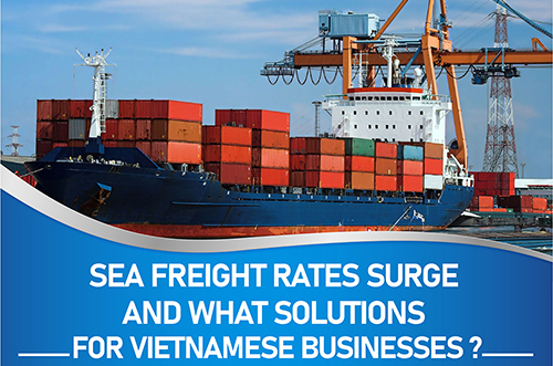 SEA FREIGHT RATES SURGE AND WHAT SOLUTIONS FOR VIETNAMESE BUSINESSES?