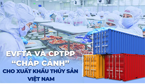 EVFTA VÀ CPTPP “CHẮP CÁNH” CHO XUẤT KHẨU THỦY SẢN VIỆT NAM