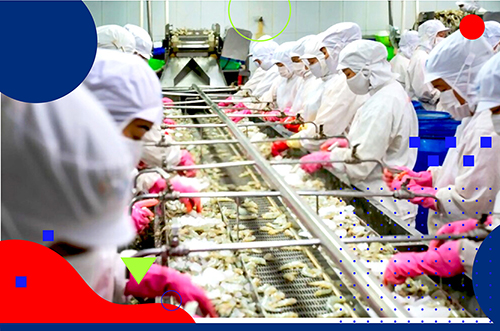 HẬU COVID-19: CƠ HỘI NÀO CHO NGÀNH THUỶ SẢN?