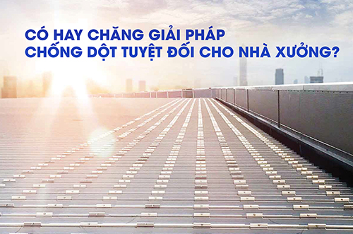 CÓ HAY CHĂNG GIẢI PHÁP CHỐNG DỘT TUYỆT ĐỐI CHO NHÀ XƯỞNG ?