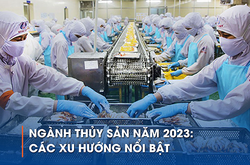 NGÀNH THỦY SẢN NĂM 2023: CÁC XU HƯỚNG NỔI BẬT