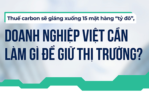 TRƯỚC XU HƯỚNG ĐÁNH THUẾ CARBON, DOANH NGHIỆP VIỆT CẦN LÀM GÌ ĐỂ GIỮ THỊ TRƯỜNG?