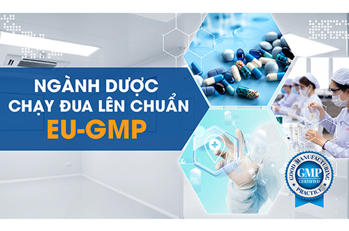 NGÀNH DƯỢC CHẠY ĐUA LÊN CHUẨN EU-GMP
