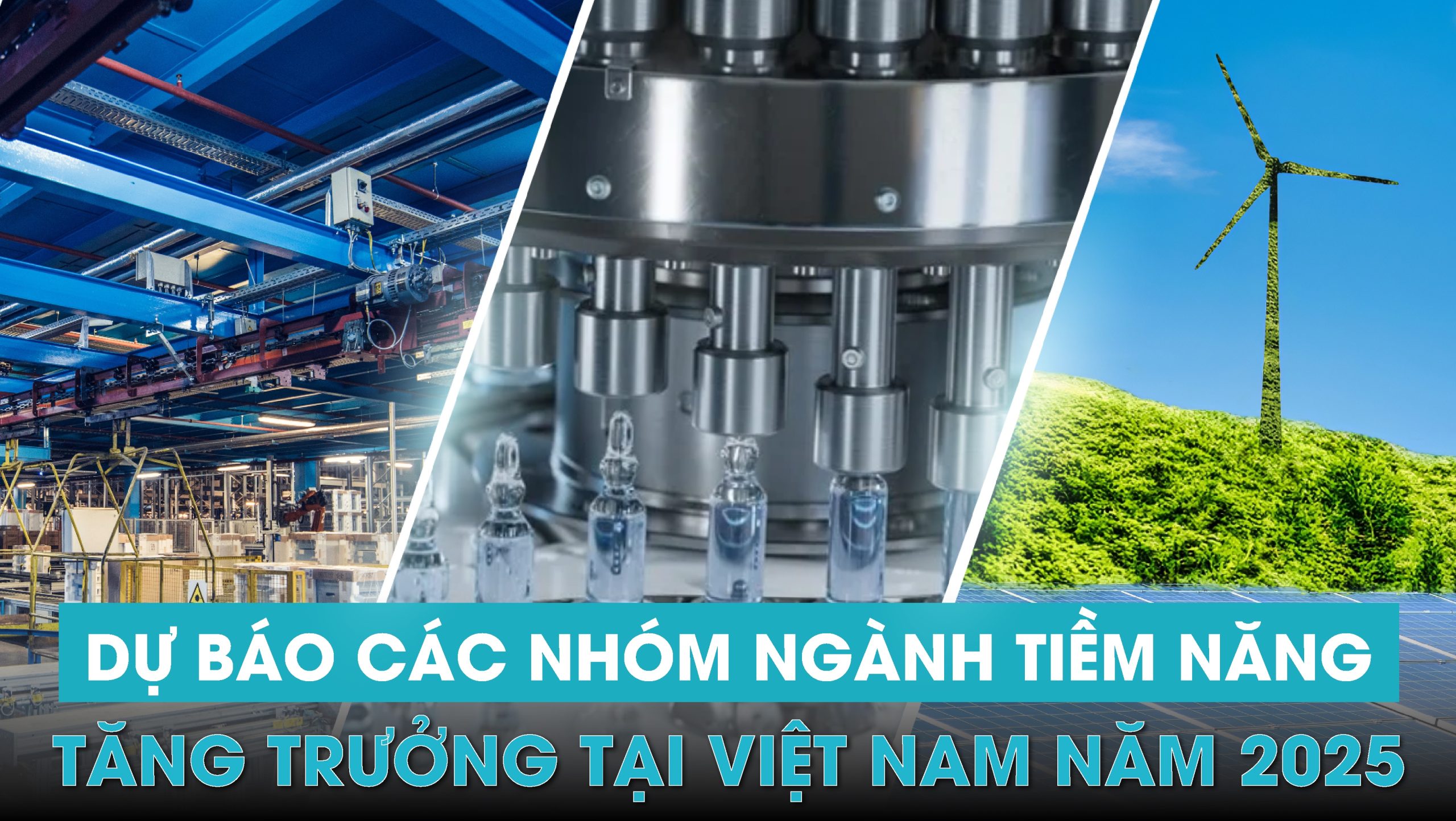 Dự Báo Các Nhóm Ngành Tiềm Năng Tăng Trưởng Tại Việt Nam Năm 2025